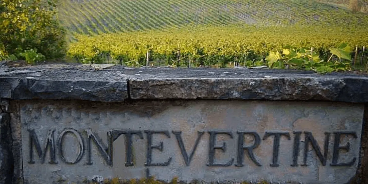 Montevertine: Il Cuore del Sangiovese in Purezza