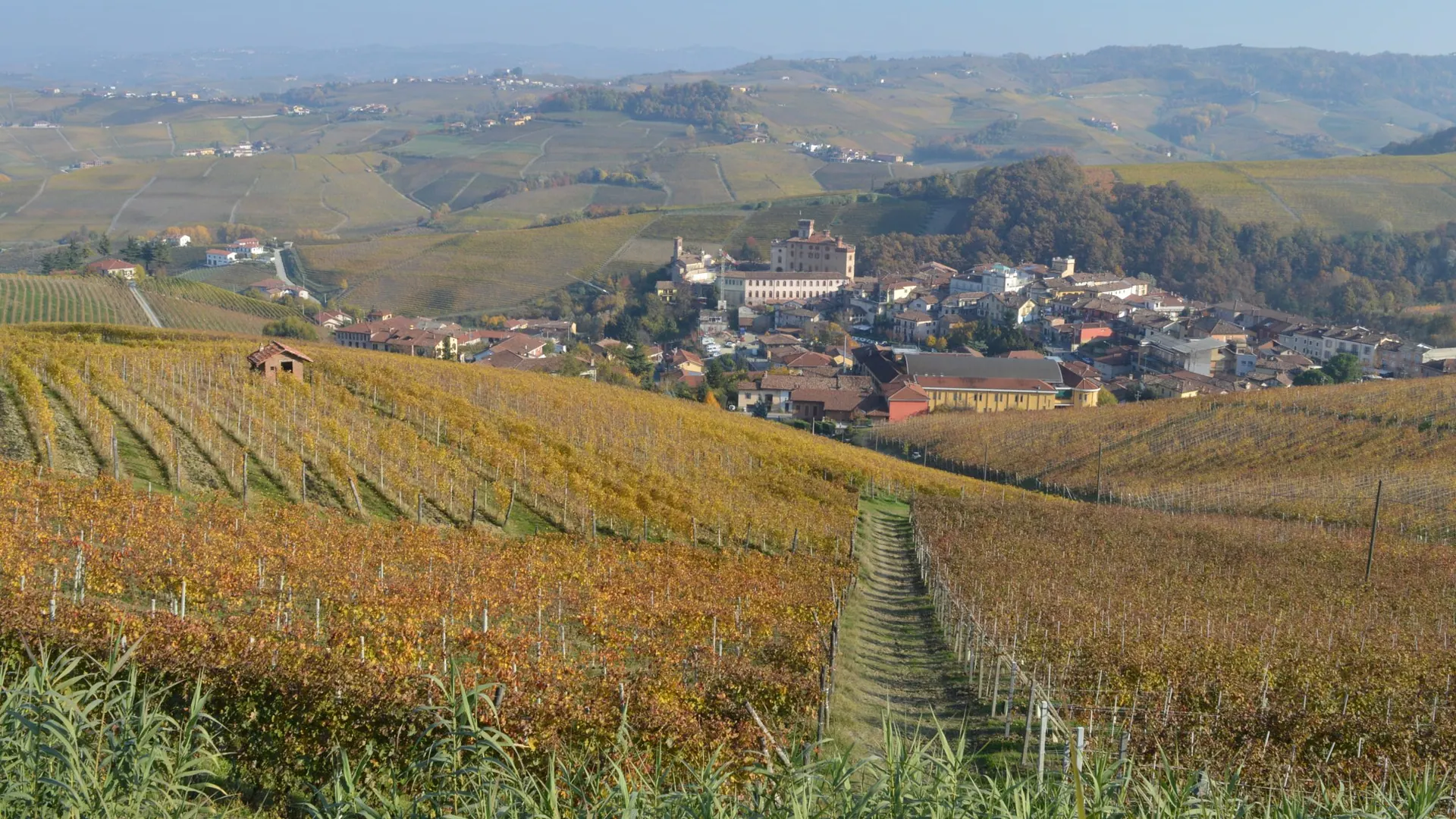 Barolo en primeur 2026: in asta anche 31 bottiglie storiche